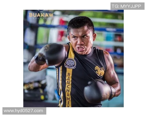 搏击之巅播求挑战董文飞谁将成为胜利者的传奇对决